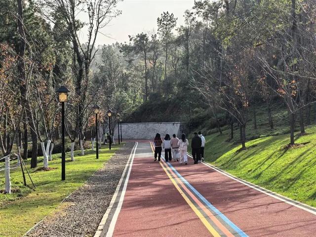 武汉东湖绿道又“上新”！7.5公里山体游步道建成