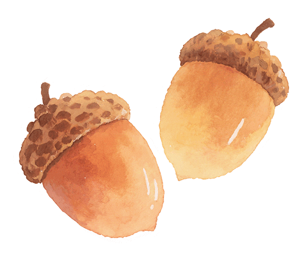 让烟花替我给你说“新年快乐”（附观赏入口）