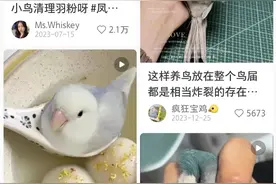 突然火了！不少人爱上了这事…杭州老板：最贵的要三万元图片