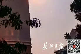 武汉终于出太阳啦！但接下来……图片