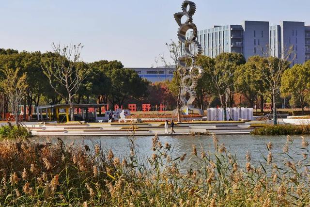 红的黄的绿的！天气这么好，来这些地方看看闵行的秋天吧~