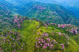 重庆南川区发布五大旅游系列活动 推出消夏大礼包图片