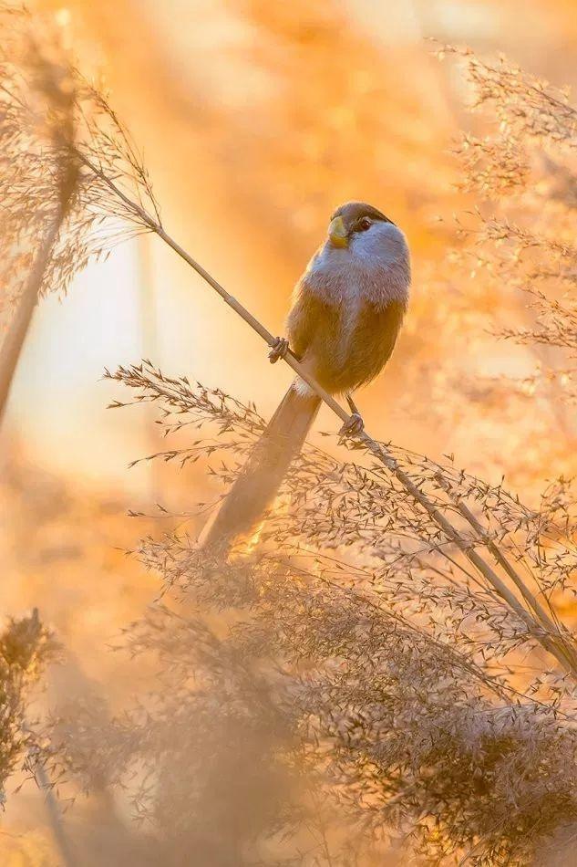 辞家千里又千里，盐城想你很想你