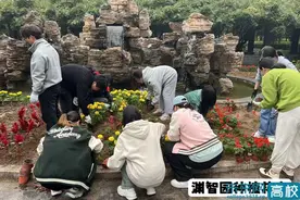 山西大学开设“园艺绿化”“中餐烹饪”劳动教育实践课图片