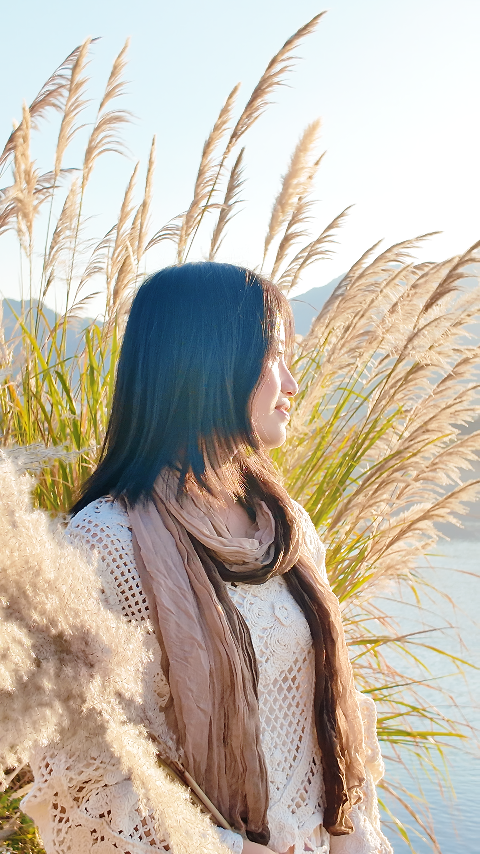 超出片!闽侯江滨这片芦苇荡美到心巴上