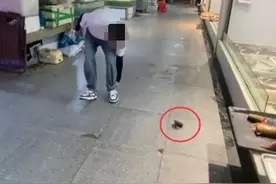 一博主买鱼要求不杀遭摊主殴打？最新：行拘12日，闭店15天图片