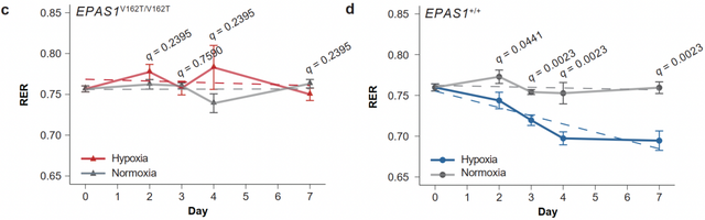 科研人员发现响应低氧的代谢调控新机制 | 科技前线