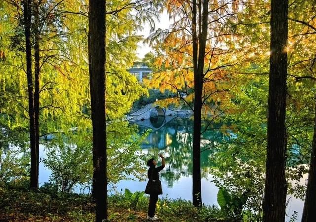 封神级美景！初冬的桂林，宛如打翻的调色盘