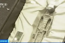 疑似“外星生物”遗骸亮相！距今1800年，每只手3根手指，DNA显示非人类！网友：太像外星人了，假的图片