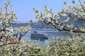 这个周末，赏花还是赏雪？重庆人不做选择，都要！图片