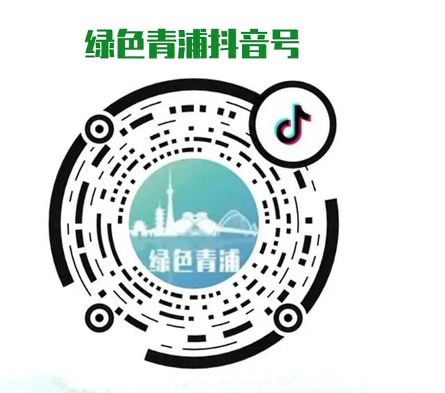 “老外浓度”爆了！免签后他们扎堆来青浦这儿～