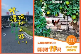 打造“一盘货”，鲁商集团把小小橙子卖成爆款图片
