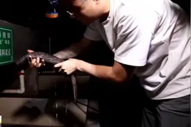 娃娃鱼变“宝贝鱼” 与“鲵”同行把养鱼知识送到家图片