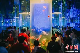 河南郑州：游客暑期“海底”觅清凉图片