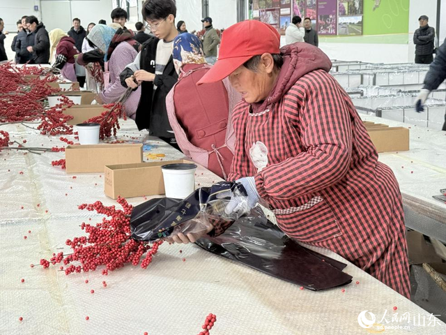 山东威海：成山民宿兴村，菱角湾红果富民