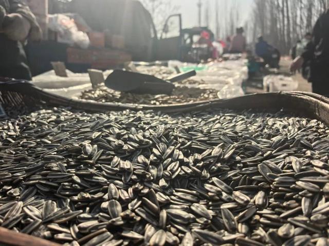 肥城寒假指南｜走！赶大集去~附大集时间表，收好！