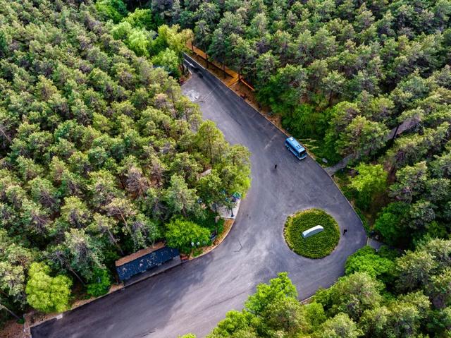 给身心来一场“森林浴”