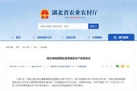 湖北发布梅雨期夏季蔬菜生产指导意见图片