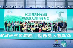 建阳小白茶飘香粤港澳，深圳茶博会推介活动圆满结束图片