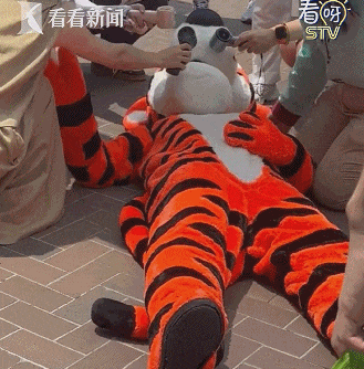 “把衣服脱掉”！上海迪士尼突发，最新回应→