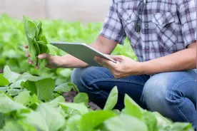 村里来了“CEO”！杭州探索职业经理人参与乡村运营图片