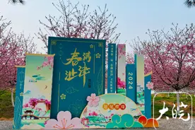 2024芜湖马拉松暨湾沚镇第二届“春满沚津”文化旅游季开幕图片