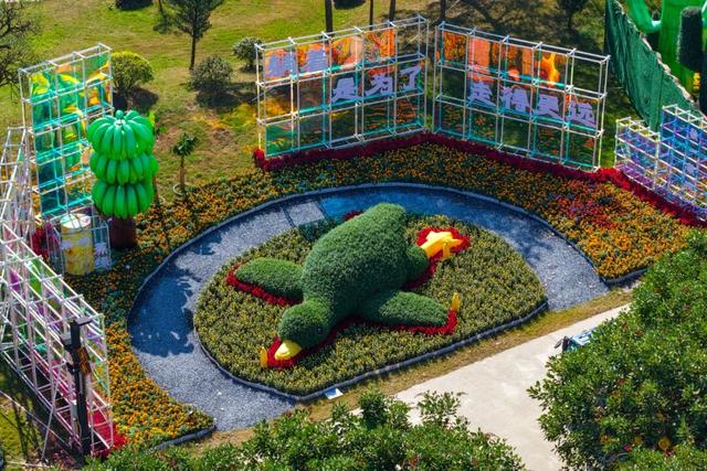 专属中山的限定浪漫花海来了！购票全攻略→