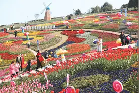 踏青赏花 乐享春光图片