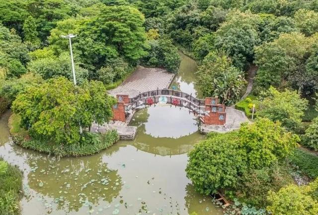 萌物来袭，“喜洋洋”和“乐融融”玩转望牛墩！