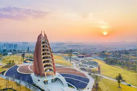 如何用好大熊猫IP讲好故事？专家观点：大熊猫是中国对外形象最好的名片之一图片