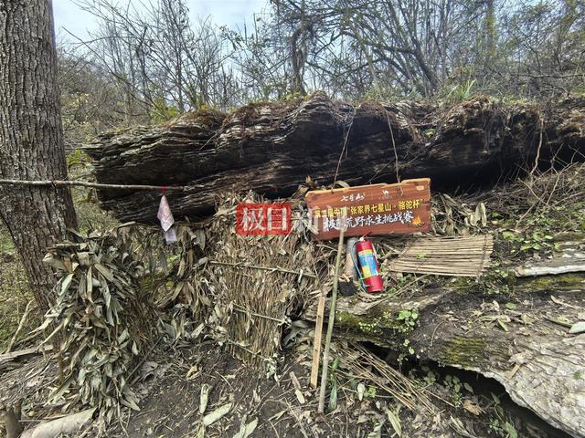张家界荒野求生体检结果出炉：血钾超标选手复检正常，除“冷美人”外的14人均将继续比赛