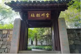 赏梅正当时！杭州植物园特色路线全攻略来了图片