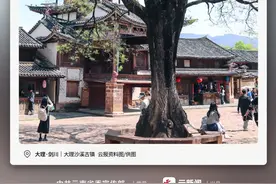 与其等风来，不如追风去｜有一种叫云南的生活之365天图片