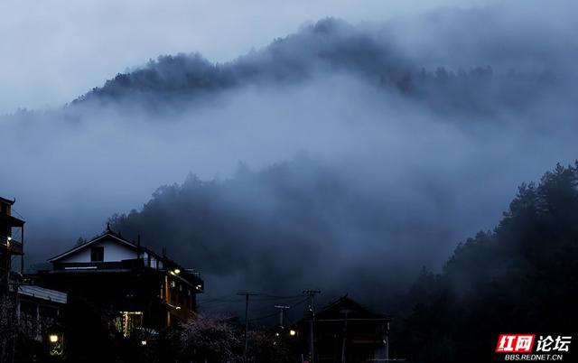 【赴春之约】山有信，花不误，奉嘎山的春日请柬已送达