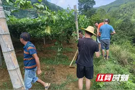 湖南城步：发挥“邻聚力” 服务“零距离”图片