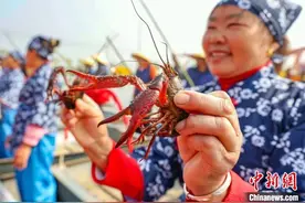 “龙虾之都”江苏盱眙：首网龙虾抢“鲜”上市图片
