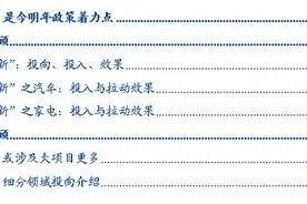 “两新”“两重”全年政策效果回顾图片