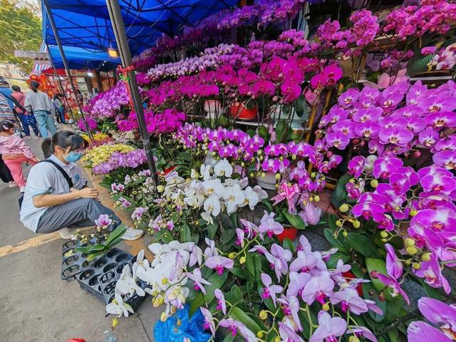 春节假期，这几个地方早开始火了！