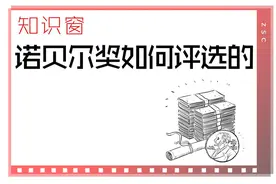 知识窗丨诺贝尔奖如何评选的图片