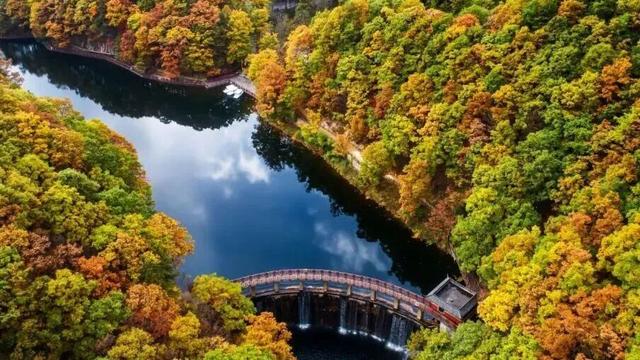 待天晴，看洛阳漫山姹紫嫣红→