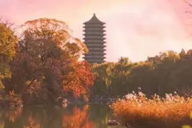 北京大学国家发展研究院、新结构经济学研究院、全球健康发展研究院2025年“申请-考核制”博士研究生招生说明图片