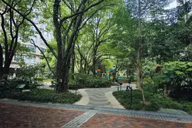 上海：社区家庭守护珍奇小鸟图片