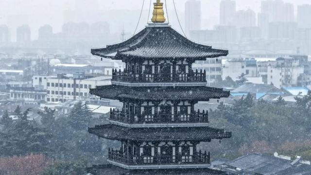 定格浪漫！吴江初雪美景图鉴！