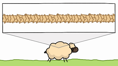 羊毛衫一洗就缩水	，那绵羊淋了雨，会不会被羊毛勒死？