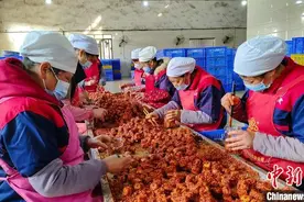 广西宰相故里豆腐乳：从小罐自食到畅销中外图片