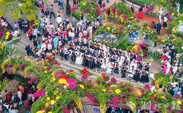 现场火爆！武汉今秋最大花展开幕