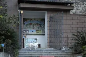 为一句叮嘱坚守35年，一位84岁退伍老兵的“动物园”图片