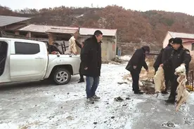 宅基地改做羊圈，胡同口成屠宰场！栖霞村民不堪其扰，执法人员蹲点查证取缔违法屠宰山羊窝点图片