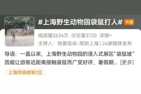 游客爆料在上海野生动物园被袋鼠打伤，园方最新回应图片