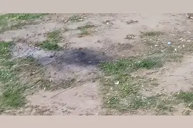 摘花折木、垃圾乱丢……“有痕露营”让露营地频频“受伤”图片